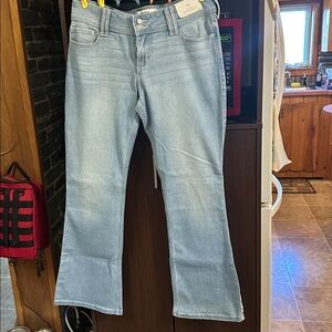 Hollister Light Blue Flared Jeans NWT in size 12